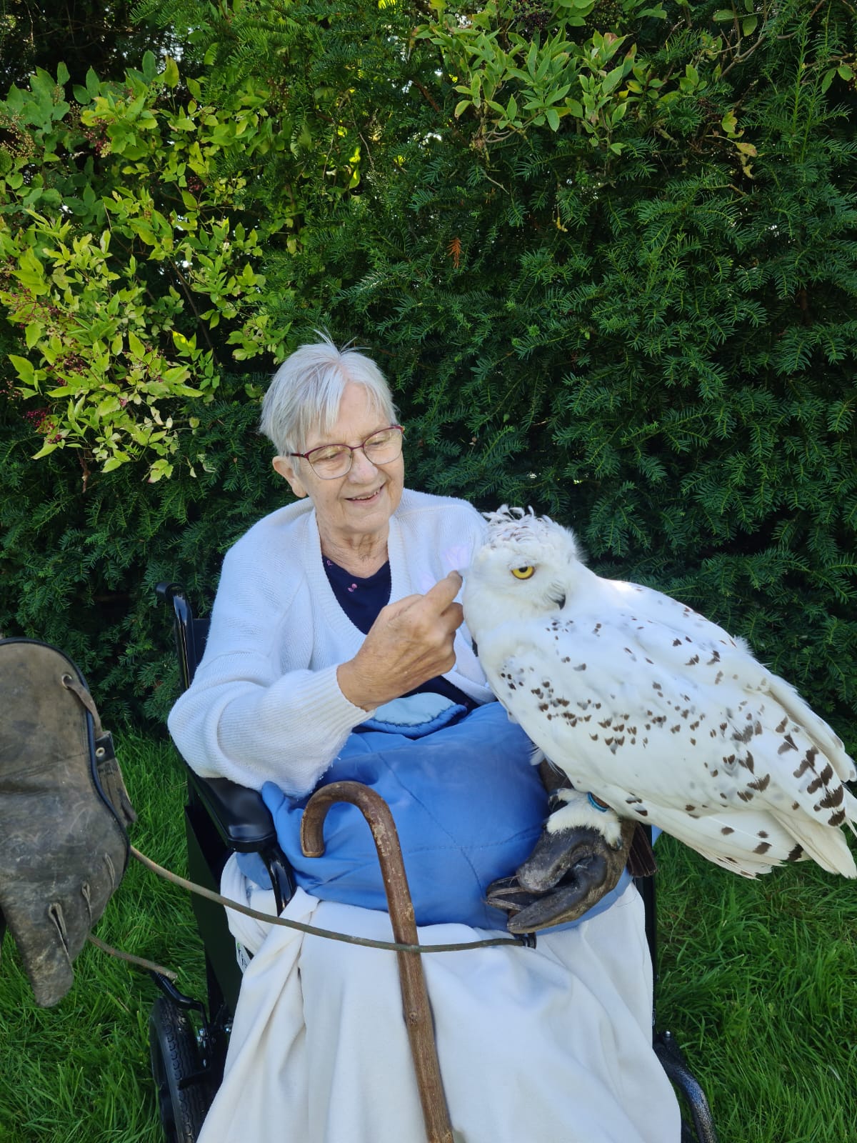 Residents at our care home had a ‘hoot’ meeting feathery Harry Potter star